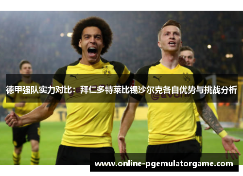 德甲强队实力对比：拜仁多特莱比锡沙尔克各自优势与挑战分析