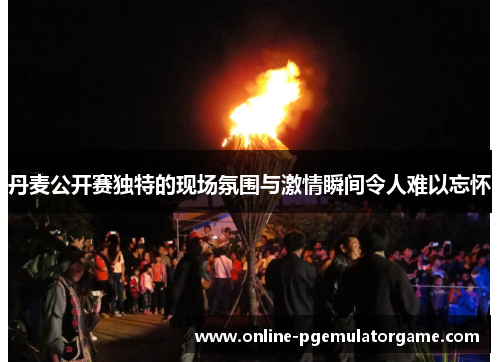 丹麦公开赛独特的现场氛围与激情瞬间令人难以忘怀