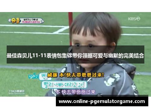 最佳森贝儿11-11表情包集锦带你领略可爱与幽默的完美结合