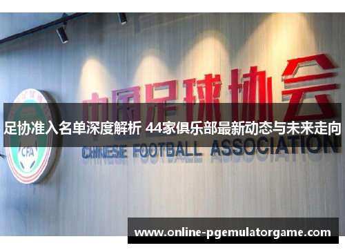 足协准入名单深度解析 44家俱乐部最新动态与未来走向