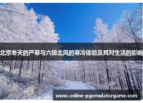 北京冬天的严寒与六级北风的寒冷体验及其对生活的影响
