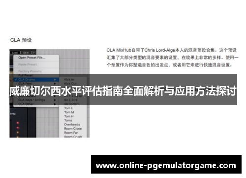 威廉切尔西水平评估指南全面解析与应用方法探讨