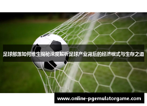 足球部落如何维生揭秘深度解析足球产业背后的经济模式与生存之道