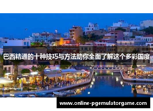 巴西精通的十种技巧与方法助你全面了解这个多彩国度