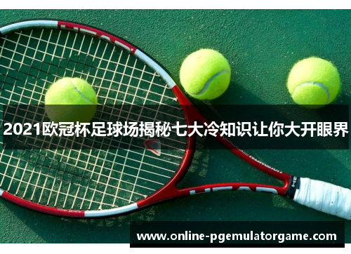 2021欧冠杯足球场揭秘七大冷知识让你大开眼界