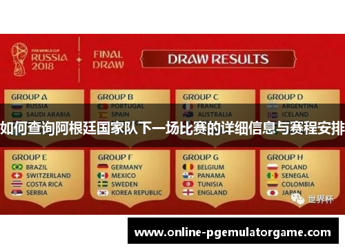 如何查询阿根廷国家队下一场比赛的详细信息与赛程安排