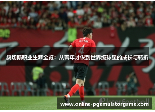 桑切斯职业生涯全览：从青年才俊到世界级球星的成长与转折