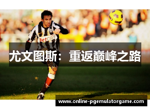尤文图斯:重返巅峰之路 尤文图斯:重返巅峰之路