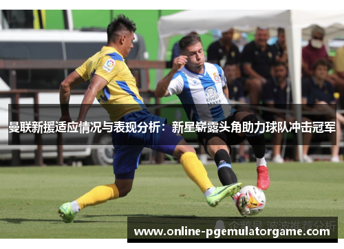 曼联新援适应情况与表现分析：新星崭露头角助力球队冲击冠军