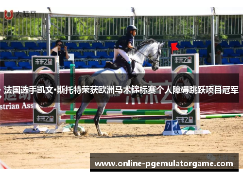 法国选手凯文·斯托特荣获欧洲马术锦标赛个人障碍跳跃项目冠军