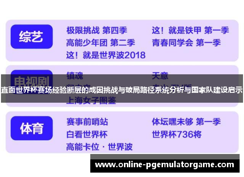 直面世界杯赛场经验断层的成因挑战与破局路径系统分析与国家队建设启示