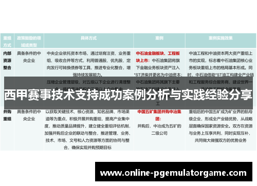 西甲赛事技术支持成功案例分析与实践经验分享